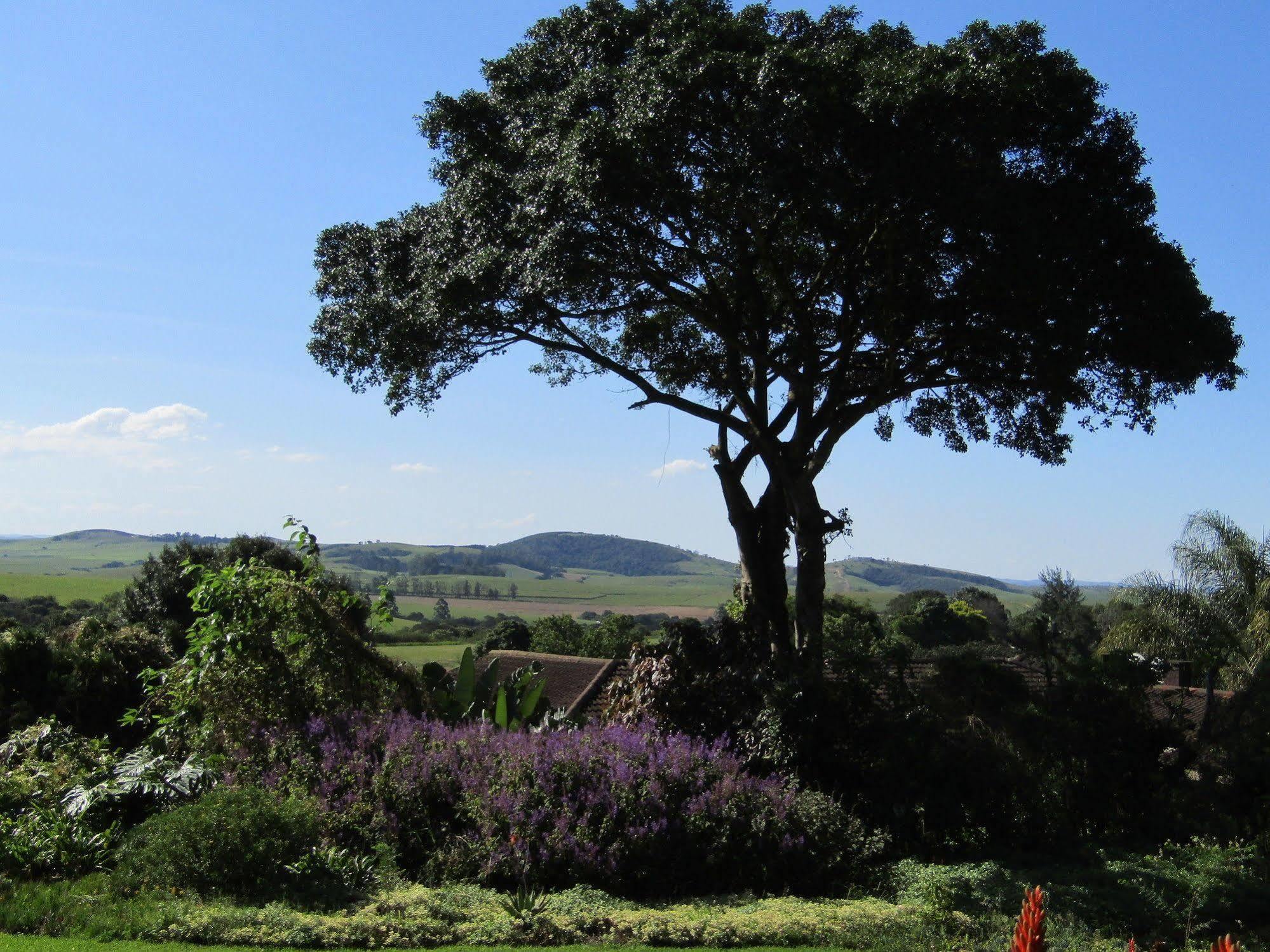Готель Sugar Hill Manor Eshowe Екстер'єр фото